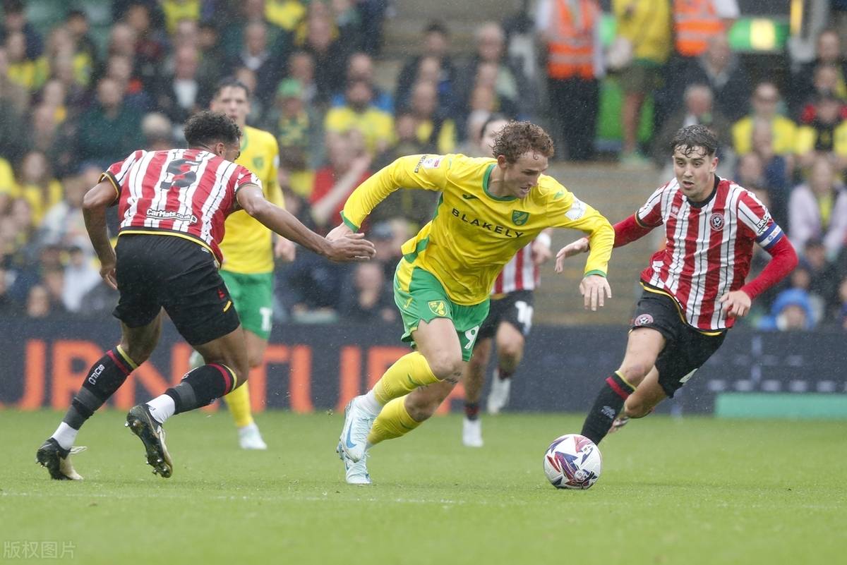 开云体育官网-谢菲联客场输球，保级形势不容乐观