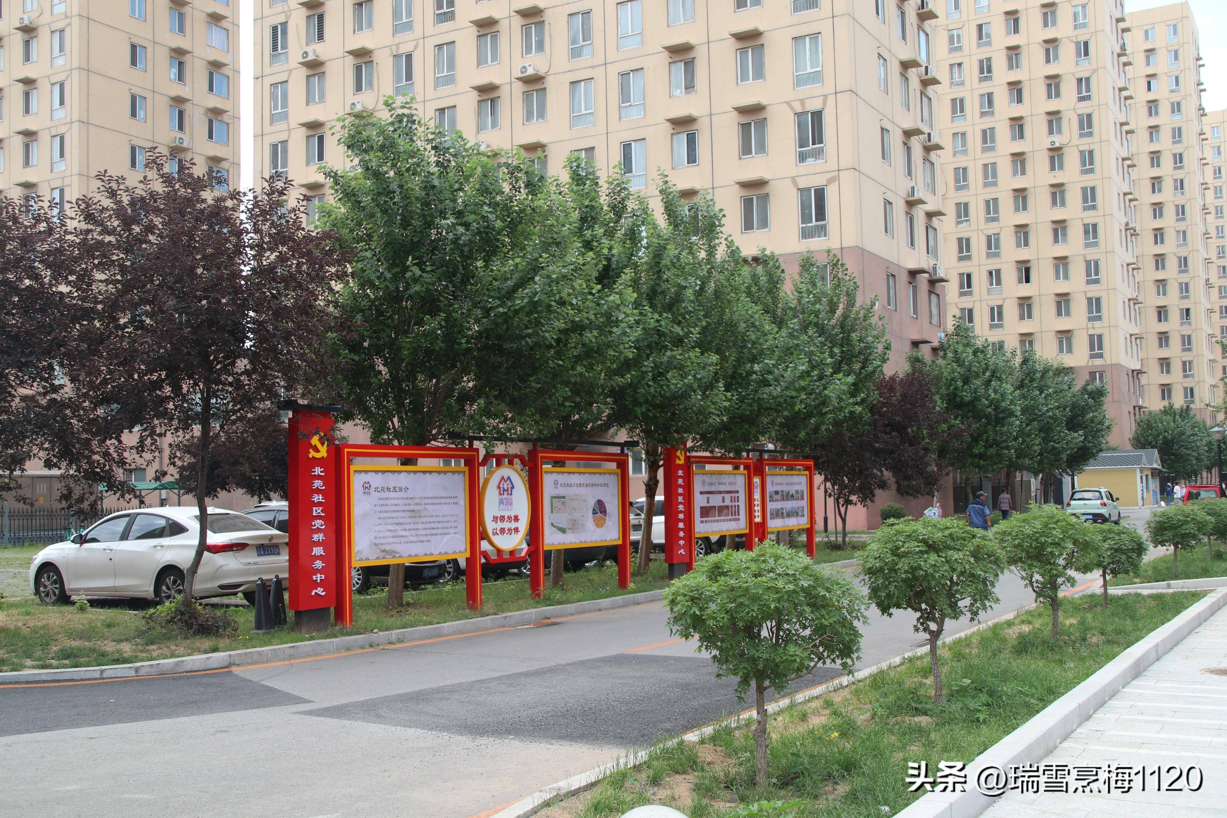 辽宁沈阳沈北负于东北和美,一场失利 辽宁沈阳沈北负于东北和美,一场失利