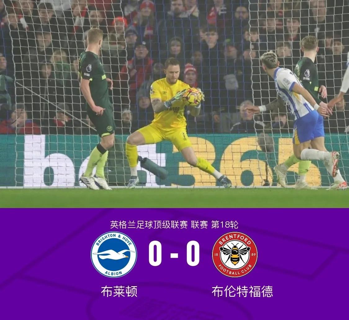 布莱顿求变成功,挖掘英超潜力 布莱顿求变成功,挖掘英超潜力