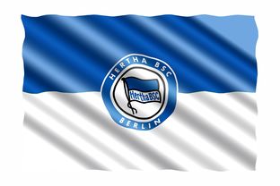 开云体育官网-沃尔夫斯堡坚守主场 不败纪录继续延续，沃尔夫斯堡比赛