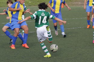 开云体育在线登录-勒沃库森主场遭遇阻击，遭对手逆转击败，勒沃库森比赛预测聚胜顽球汇