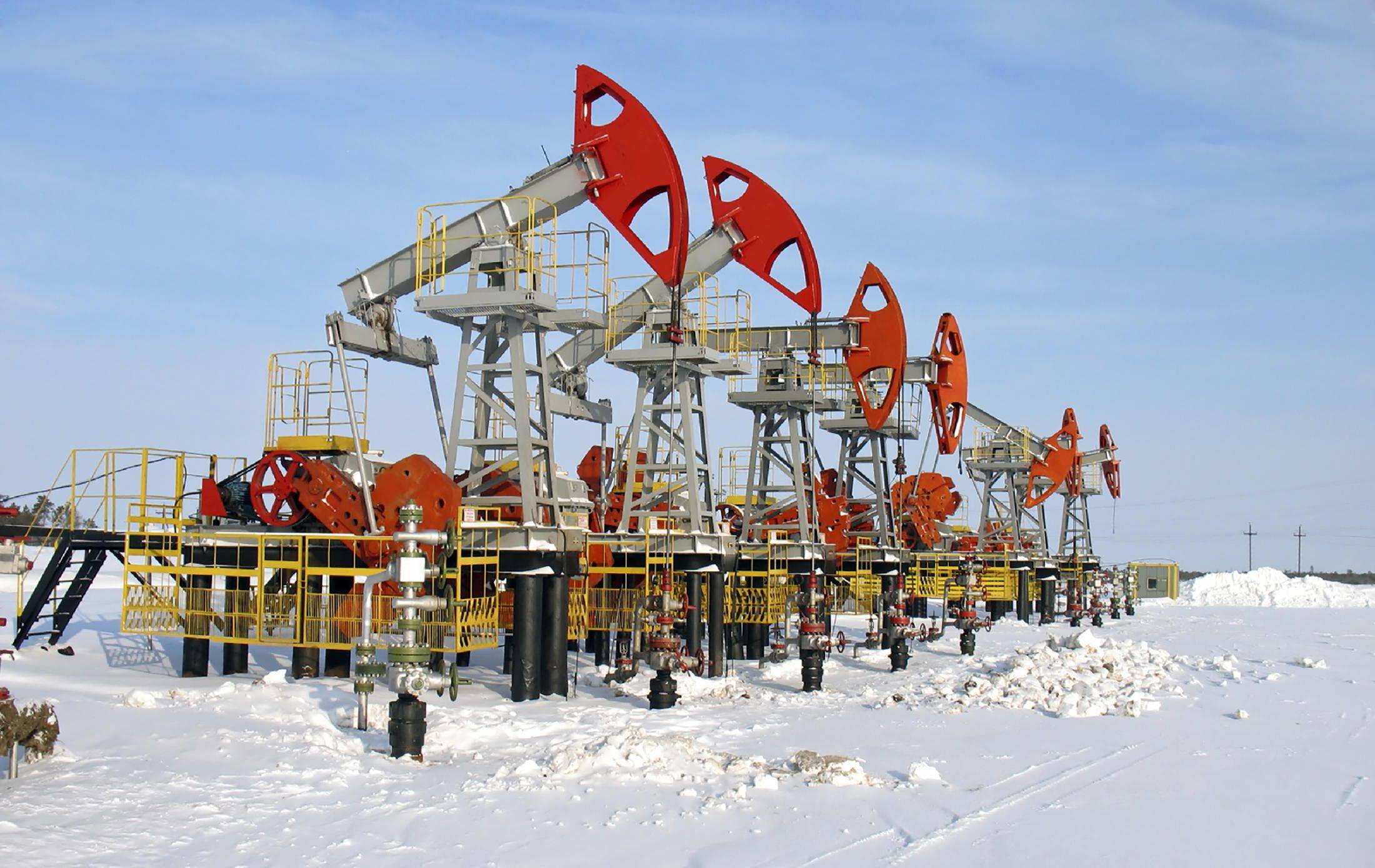 波兰对阵匈牙利,力争取得胜利的简单介绍 波兰对阵匈牙利,力争取得胜利的简单介绍