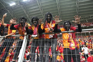 开云体育登录入口-土耳其队胜于对手，欧预赛排名攀升