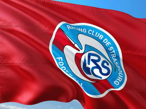 开云体育官方入口-梅斯队客场战平对手，保持不败，展现强大实力